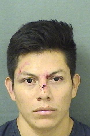  NOELIO LOPEZRAMIREZ Results from Palm Beach County Florida for  NOELIO LOPEZRAMIREZ