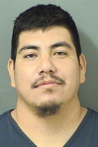 GUILLERMO BERNAL Photos For  GUILLERMO BERNAL  GUILLERMO BERNAL Photo For  GUILLERMO BERNAL