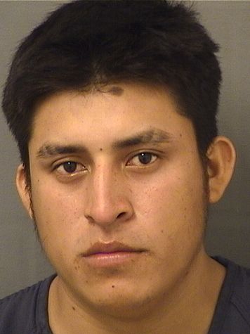  ANDERSON MARTINEZLOPEZ Results from Palm Beach County Florida for  ANDERSON MARTINEZLOPEZ