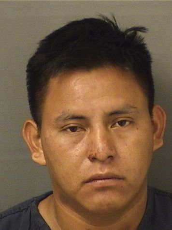  ELVIN MORALESVASQUEZ Results from Palm Beach County Florida for  ELVIN MORALESVASQUEZ