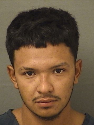 FERNANDO CASTELLONBLANCO Photos For  FERNANDO CASTELLONBLANCO  FERNANDO CASTELLONBLANCO Photo For  FERNANDO CASTELLONBLANCO