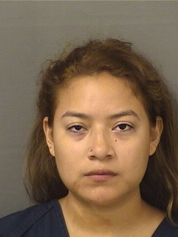  JULITZA GONZALEZVILLACIS Results from Palm Beach County Florida for  JULITZA GONZALEZVILLACIS