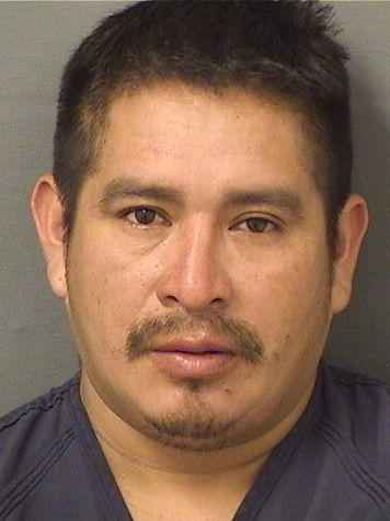  MAURICIO ANDRESFRANCISCO Results from Palm Beach County Florida for  MAURICIO ANDRESFRANCISCO