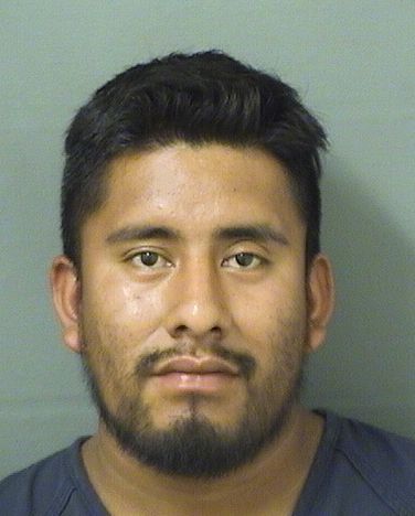  GUADALUPE RAMIREZMENDEZ Results from Palm Beach County Florida for  GUADALUPE RAMIREZMENDEZ