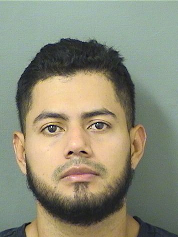  JUAN DANIEL ORTIZNEVADO Results from Palm Beach County Florida for  JUAN DANIEL ORTIZNEVADO