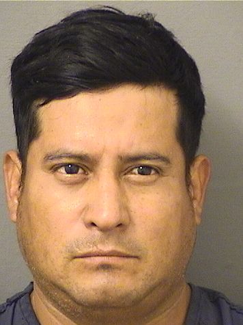  FRANKY MOLINAVAIL Results from Palm Beach County Florida for  FRANKY MOLINAVAIL