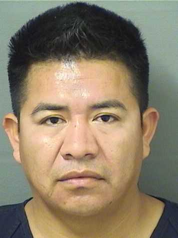  JUAN MENDOZACHOLOTIO Results from Palm Beach County Florida for  JUAN MENDOZACHOLOTIO