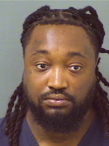  ERIC ORLANDO Jr JOHNSON Results from Palm Beach County Florida for  ERIC ORLANDO Jr JOHNSON