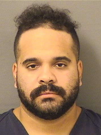  JOSE ARNALDO Jr BAUTISTA Results from Palm Beach County Florida for  JOSE ARNALDO Jr BAUTISTA