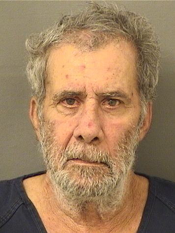  MICHAEL ANTHONY MARCHESANI Results from Palm Beach County Florida for  MICHAEL ANTHONY MARCHESANI