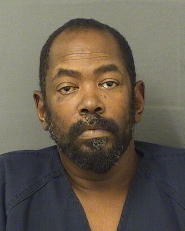  ANTHONY L GEORGE Results from Palm Beach County Florida for  ANTHONY L GEORGE