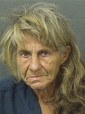  ROXANNE HUMBERT Results from Palm Beach County Florida for  ROXANNE HUMBERT