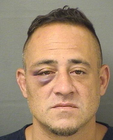  NICHOLAS SEBASTIAN INTERLANDI Results from Palm Beach County Florida for  NICHOLAS SEBASTIAN INTERLANDI