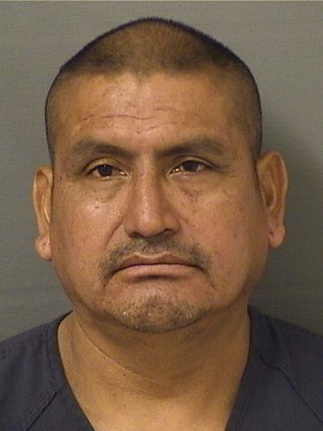  SAMUEL GABRIELVELASQUEZ Results from Palm Beach County Florida for  SAMUEL GABRIELVELASQUEZ