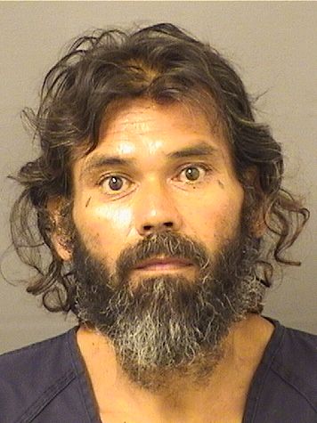  DARIO J CARDONA Results from Palm Beach County Florida for  DARIO J CARDONA