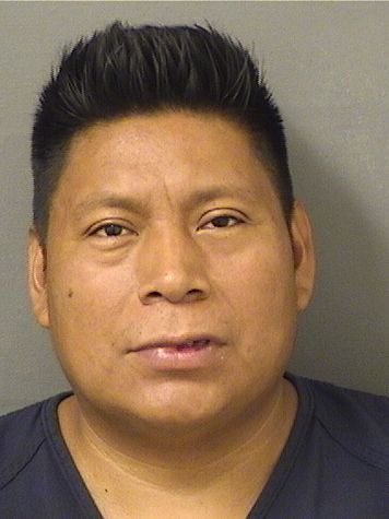  IDILIO RAMIREZVASQUEZ Results from Palm Beach County Florida for  IDILIO RAMIREZVASQUEZ