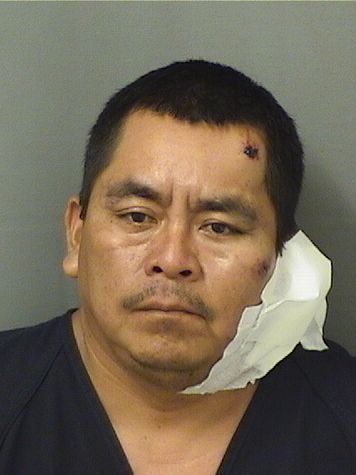  JERONIMO LORENZO MOISE Photo