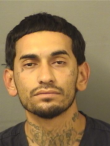  ALEXANDER MAURY DOMINGUEZ Results from Palm Beach County Florida for  ALEXANDER MAURY DOMINGUEZ