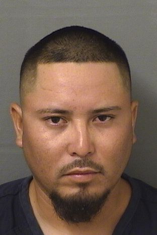  JUAN ESTEBAN GARCIAORTEGA Results from Palm Beach County Florida for  JUAN ESTEBAN GARCIAORTEGA
