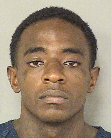  JOHNNIE SMITH Results from Palm Beach County Florida for  JOHNNIE SMITH