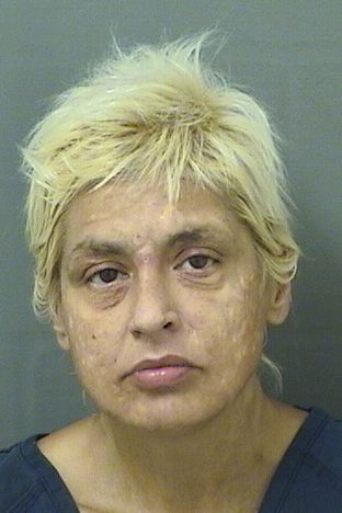  JENNY SUE ERB Results from Palm Beach County Florida for  JENNY SUE ERB