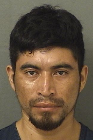 BELMIN CARRILLOCARRILLO Results from Palm Beach County Florida for BELMIN CARRILLOCARRILLO BELMIN CARRILLOCARRILLO Results from Palm Beach County Florida for BELMIN CARRILLOCARRILLO
