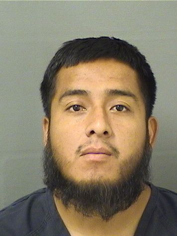  FRANCISCO FRANCISCODIEGO Results from Palm Beach County Florida for  FRANCISCO FRANCISCODIEGO