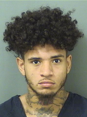  CHRISTOPHER LEHNER Results from Palm Beach County Florida for  CHRISTOPHER LEHNER