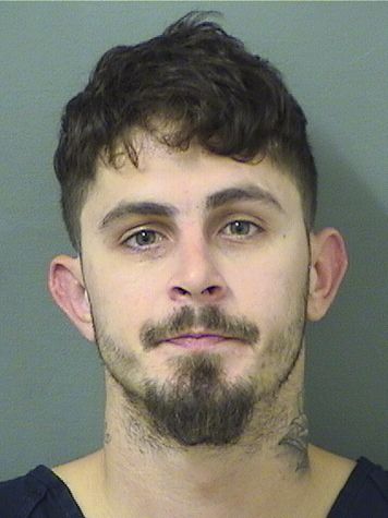  AUSTIN JOHN NATSKAKULA Results from Palm Beach County Florida for  AUSTIN JOHN NATSKAKULA