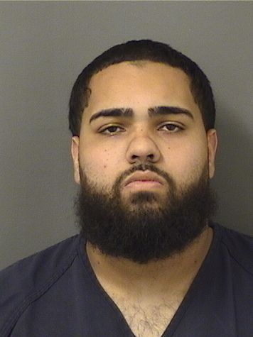  AIOVANNI LUIS LOPEZ Results from Palm Beach County Florida for  AIOVANNI LUIS LOPEZ