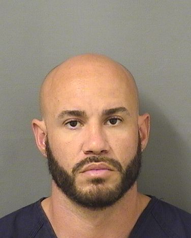  MIGUEL ANGEL RAVELO Results from Palm Beach County Florida for  MIGUEL ANGEL RAVELO