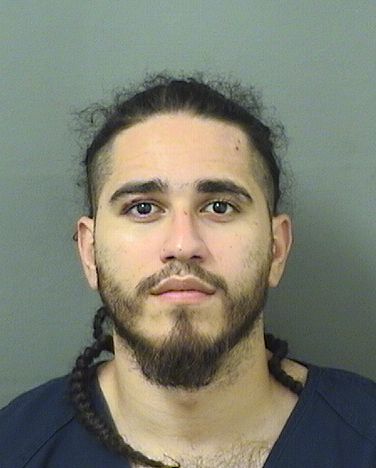  JOSHUA RAFAEL MALENA Results from Palm Beach County Florida for  JOSHUA RAFAEL MALENA