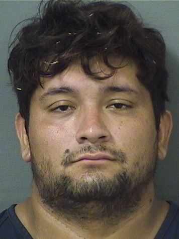  MARVIN LOPEZALFARO Results from Palm Beach County Florida for  MARVIN LOPEZALFARO