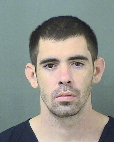  JOSHUA J GORDON Results from Palm Beach County Florida for  JOSHUA J GORDON