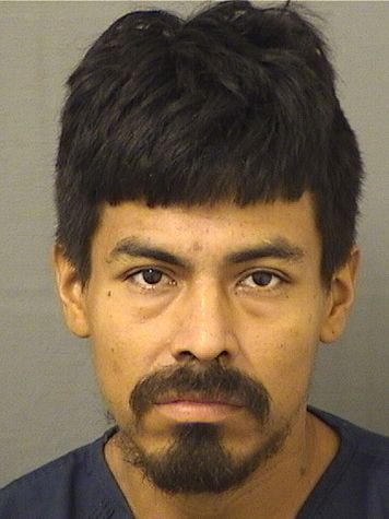  ELMER RODRIGUEZ Results from Palm Beach County Florida for  ELMER RODRIGUEZ