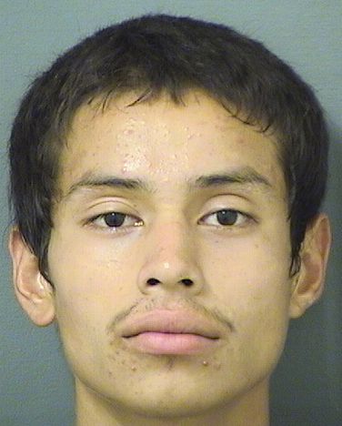  JAIRO REYES Results from Palm Beach County Florida for  JAIRO REYES