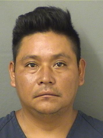 ALFONSO GOMEZMENDEZ Photos For  ALFONSO GOMEZMENDEZ  ALFONSO GOMEZMENDEZ Photo For  ALFONSO GOMEZMENDEZ