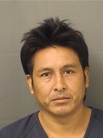 AMELIO GUBIER RAMIREZMONZON Photos For  AMELIO GUBIER RAMIREZMONZON  AMELIO GUBIER RAMIREZMONZON Photo For  AMELIO GUBIER RAMIREZMONZON