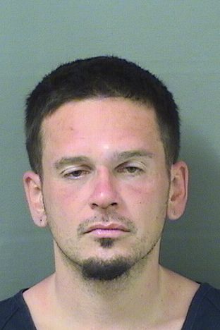  RYAN MICHAEL STEWART Results from Palm Beach County Florida for  RYAN MICHAEL STEWART