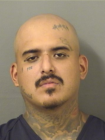  AHMED LOUIS SAGHI Results from Palm Beach County Florida for  AHMED LOUIS SAGHI