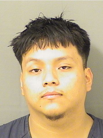  NEHEMIAS JOSUE FELIPEMANUEL Results from Palm Beach County Florida for  NEHEMIAS JOSUE FELIPEMANUEL