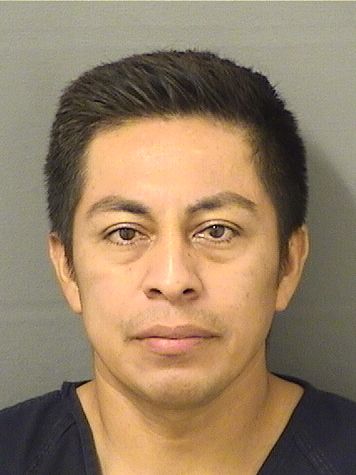  LUIS FERNANDO VELASQUEZSON Results from Palm Beach County Florida for  LUIS FERNANDO VELASQUEZSON