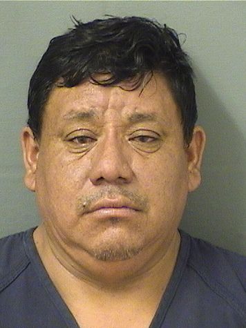  MANUEL E DIAZCOMPOSECO Results from Palm Beach County Florida for  MANUEL E DIAZCOMPOSECO