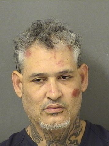  PABLO RAMON RIVERABONILLA Results from Palm Beach County Florida for  PABLO RAMON RIVERABONILLA