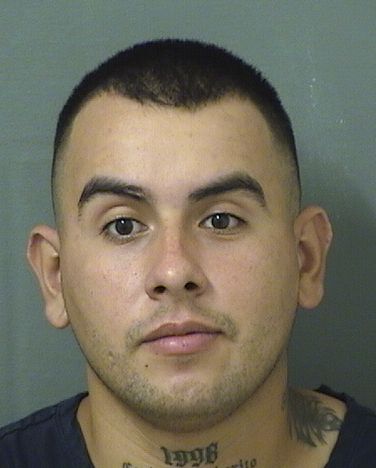  LUIS DAVID DIAZAMADO Results from Palm Beach County Florida for  LUIS DAVID DIAZAMADO