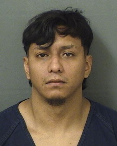  MARIO DAVID FUENTESARDIANO Results from Palm Beach County Florida for  MARIO DAVID FUENTESARDIANO