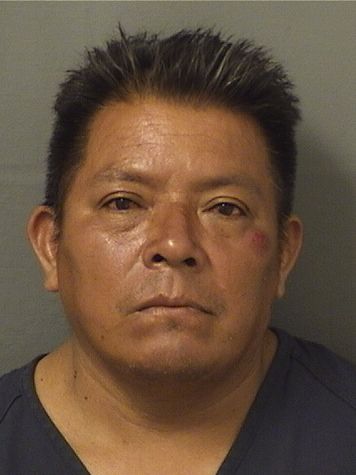 MARCELLO MATEOCRUZ Results from Palm Beach County Florida for MARCELLO MATEOCRUZ MARCELLO MATEOCRUZ Results from Palm Beach County Florida for MARCELLO MATEOCRUZ