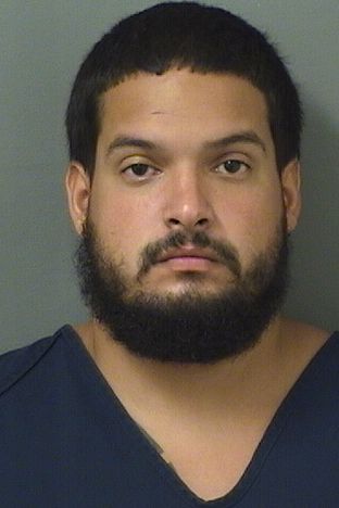  JOEL DAVID LOPEZ Results from Palm Beach County Florida for  JOEL DAVID LOPEZ