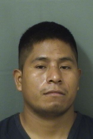  MARCOS DOMINGO Photo