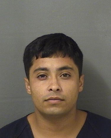  JULIAN YESID CARVAJALMIRANDA Results from Palm Beach County Florida for  JULIAN YESID CARVAJALMIRANDA